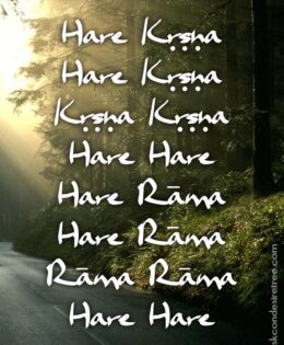 Hare Krishna Maha Mantra 496