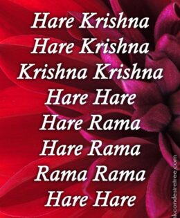 Hare Krishna Maha Mantra 498