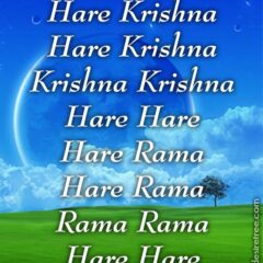 Hare Krishna Maha Mantra 502