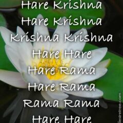 Hare Krishna Maha Mantra in Spanish 030