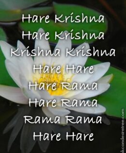 Hare Krishna Maha Mantra 503