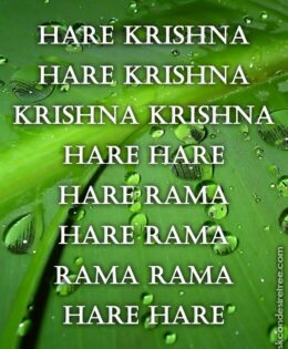 Hare Krishna Maha Mantra 504