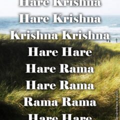 Hare Krishna Maha Mantra 506