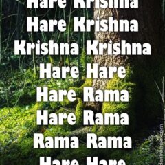 Hare Krishna Maha Mantra 509