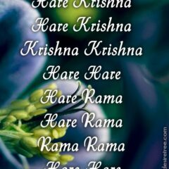 Hare Krishna Maha Mantra 511