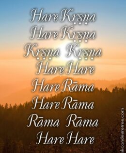 Hare Krishna Maha Mantra in Spanish 025