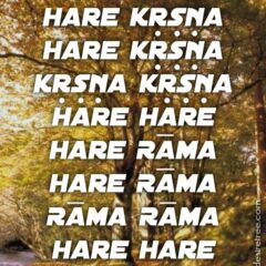 Hare Krishna Maha Mantra 520
