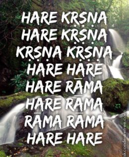 Hare Krishna Maha Mantra in Spanish 024