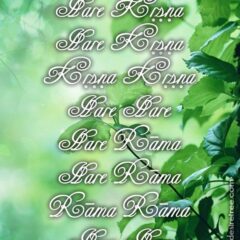 Hare Krishna Maha Mantra 524