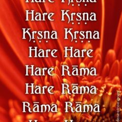 Hare Krishna Maha Mantra in Spanish 022