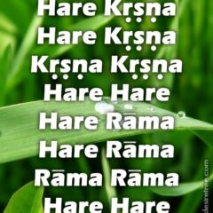 Hare Krishna Maha Mantra 529