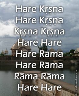 Hare Krishna Maha Mantra 532