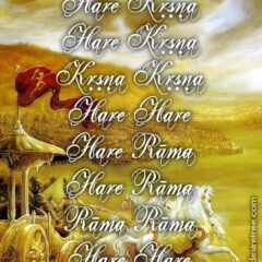 Hare Krishna Maha Mantra 536