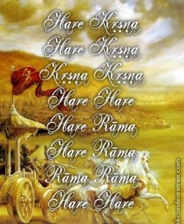 Hare Krishna Maha Mantra 536