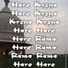 Hare Krishna Maha Mantra 537