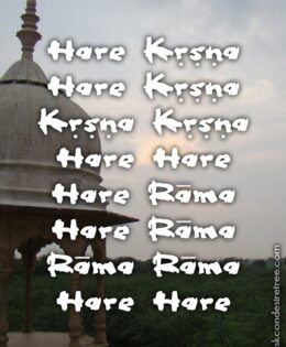 Hare Krishna Maha Mantra 537