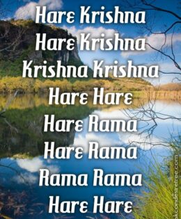 Hare Krishna Maha Mantra in Spanish 019