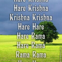 Hare Krishna Maha Mantra 539