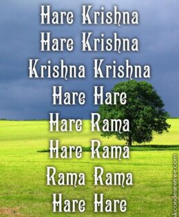 Hare Krishna Maha Mantra 539