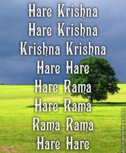 Hare Krishna Maha Mantra 539