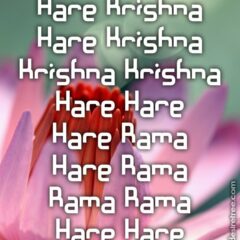 Hare Krishna Maha Mantra 541