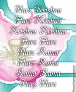 Hare Krishna Maha Mantra 542