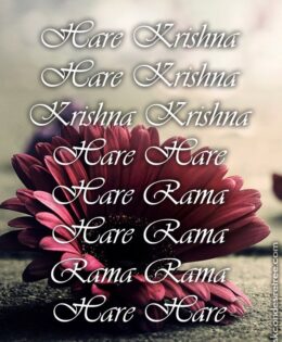 Hare Krishna Maha Mantra 546