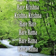 Hare Krishna Maha Mantra 547