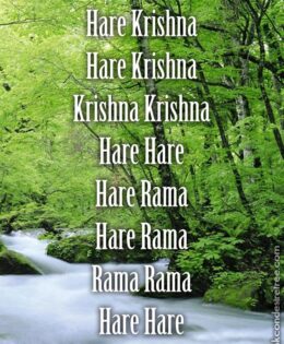 Hare Krishna Maha Mantra 547