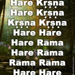 Hare Krishna Maha Mantra in Spanish 014