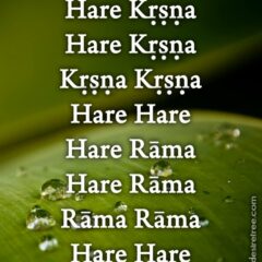 Hare Krishna Maha Mantra 555