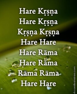 Hare Krishna Maha Mantra 555
