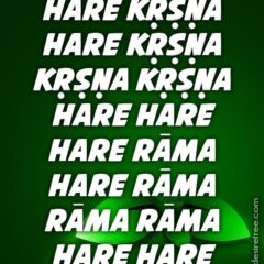 Hare Krishna Maha Mantra in Spanish 013