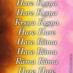 Hare Krishna Maha Mantra 559