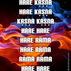 Hare Krishna Maha Mantra 565