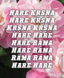 Hare Krishna Maha Mantra in Spanish 008