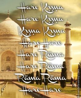 Hare Krishna Maha Mantra 569