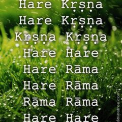 Hare Krishna Maha Mantra 574