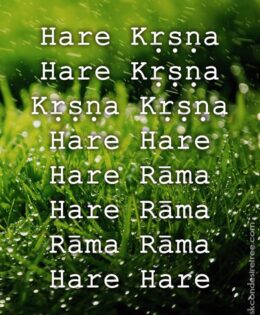 Hare Krishna Maha Mantra 574