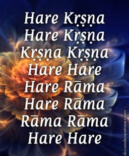 Hare Krishna Maha Mantra in Spanish 004