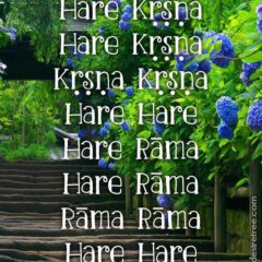 Hare Krishna Maha Mantra 578