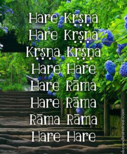 Hare Krishna Maha Mantra 578