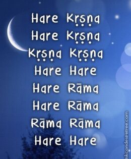 Hare Krishna Maha Mantra 580