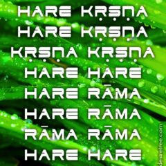 Hare Krishna Maha Mantra 581