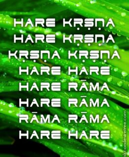 Hare Krishna Maha Mantra 581
