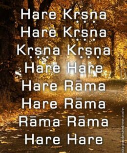 Hare Krishna Maha Mantra 583