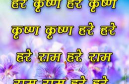 Hare Krishna Maha Mantra in Hindi 003