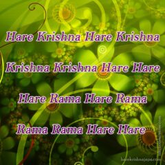 Hare Krishna Maha Mantra 028