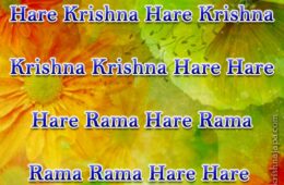 Hare Krishna Maha Mantra 029