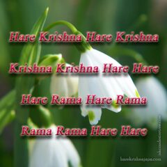 Hare Krishna Maha Mantra 033